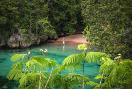 West Papua, Kaimana, Triton Bay 2026 (5/41)